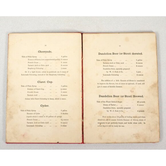 Scarce Antique Recipe Book for Fizzy Drinks W. J. Bush and Co. 1885 1st Edition - Picture 6 of 10